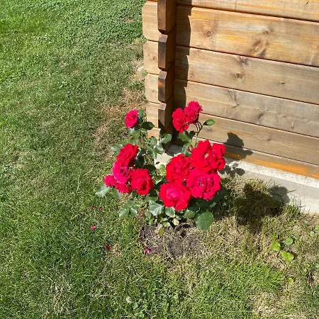 Hugo * Landwehrhagen