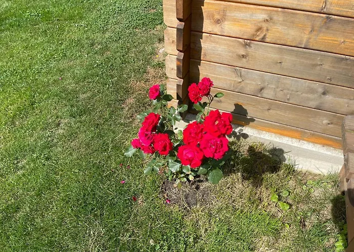 Hugo * Landwehrhagen